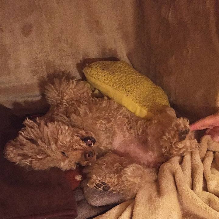 822471b1 a90f 4510 af75 03203bf47d31