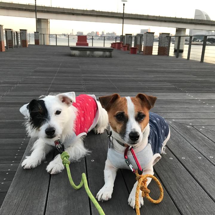 8224a2bb 7a82 4fae 984d b921e0ac9ab6