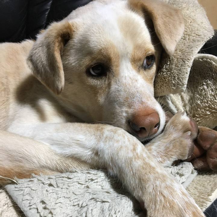 8224a9c6 566d 41b4 b050 6ac0135d9e95