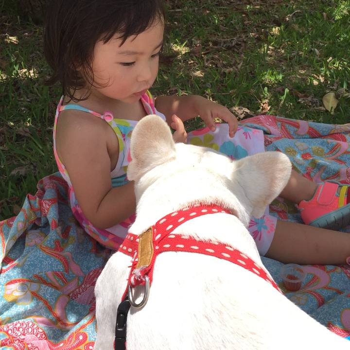 8225932e 41b6 4acb b285 0d96d0fc3c57