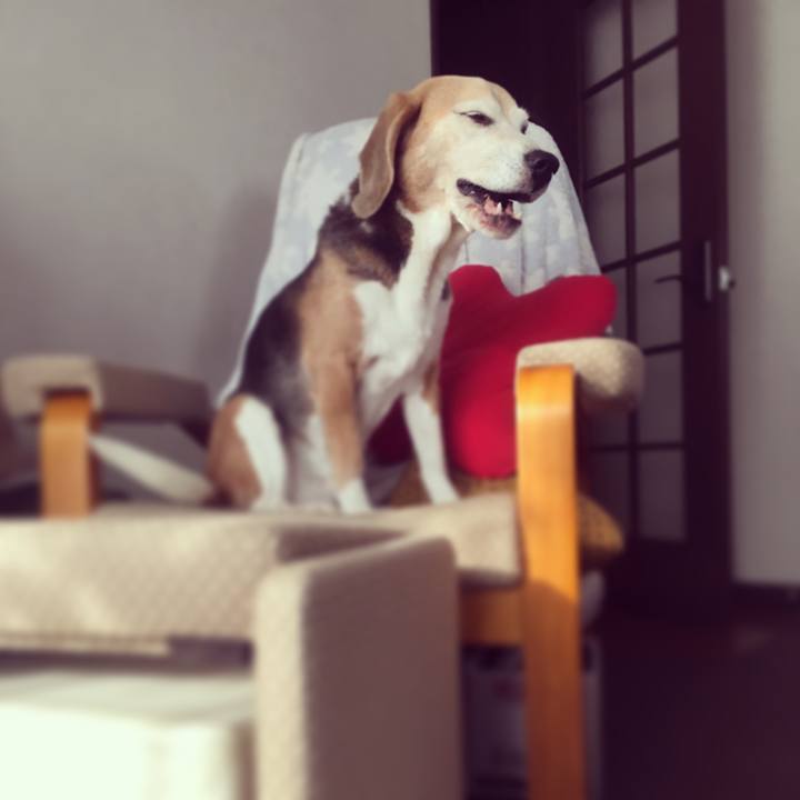 8225e002 92c9 49db bec2 d8149a766150