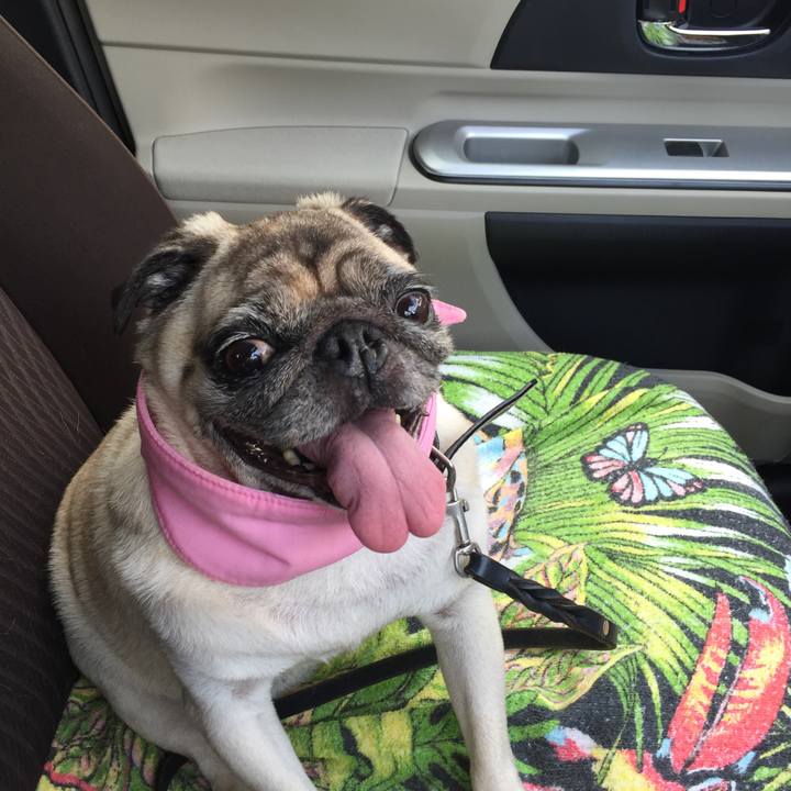 82263243 7af0 4072 a88c 83f9d8b8593f