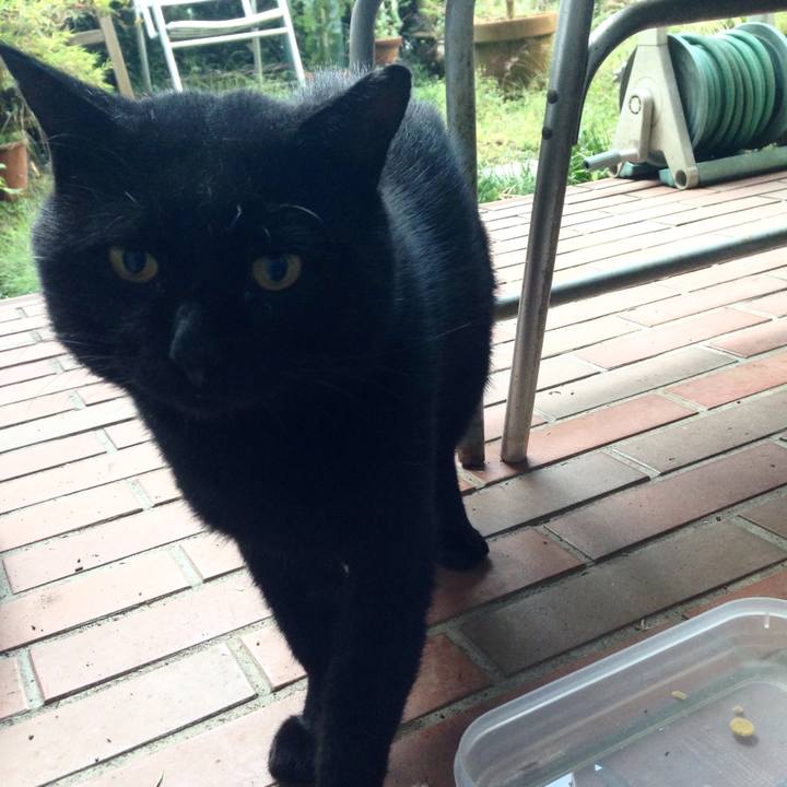 82270655 589a 471f 94e7 9700af7ed028