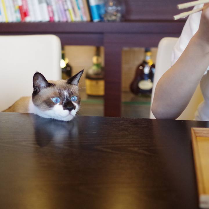 8227182d 21aa 4d11 8c3c b65a90d977e1