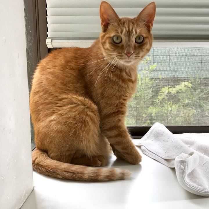 82273107 daea 45d4 836a 127b6834702a