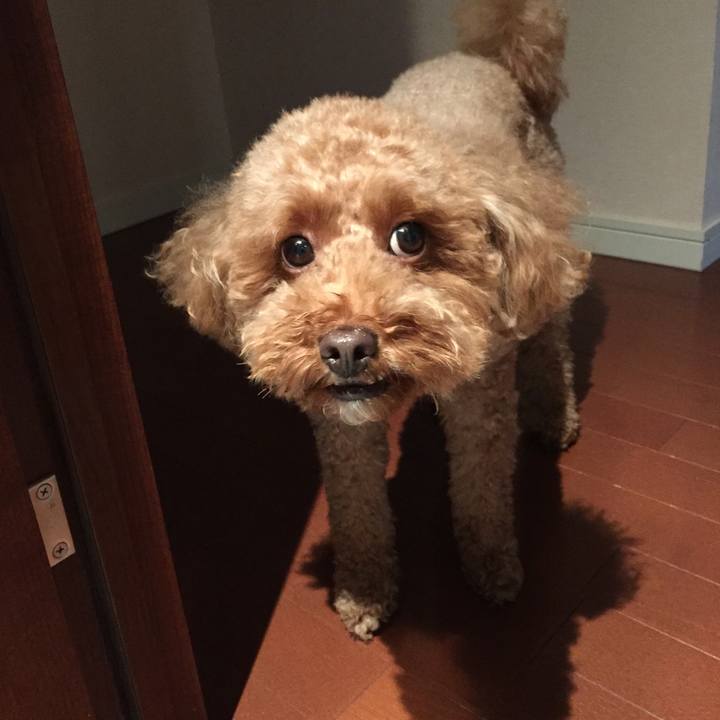 82278285 ec7c 4ad9 b8ba 86ea531492e5