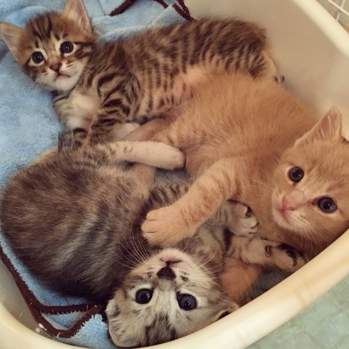 822794ac 5ced 4bf8 b78a cfecf2f44cd4