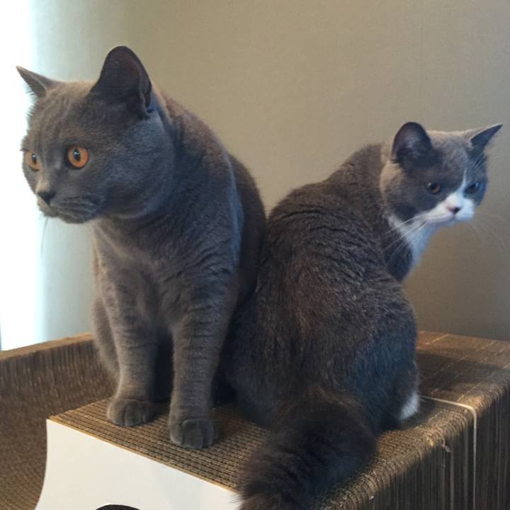 8227fb38 e294 4f11 a3ee 1aef3a6fe3e0