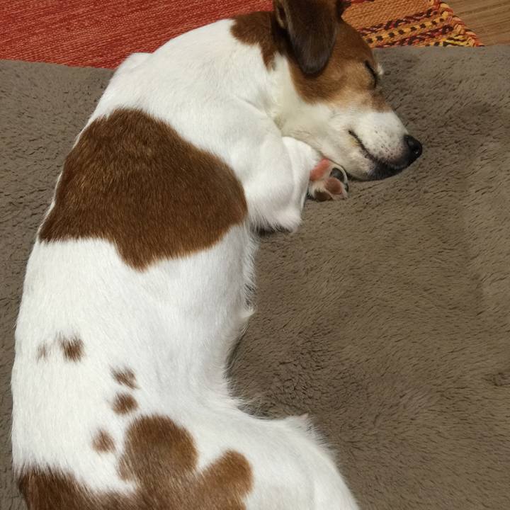 822830bf 5ea0 4e83 9d4c b56db9a2460f