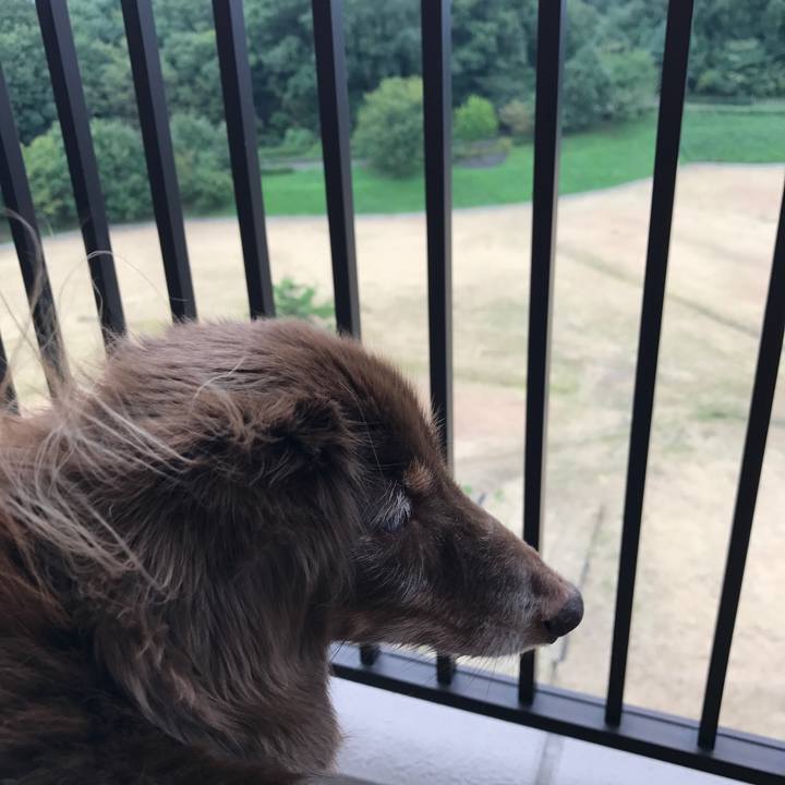 8228c54d a31c 4069 8a89 38e478870762