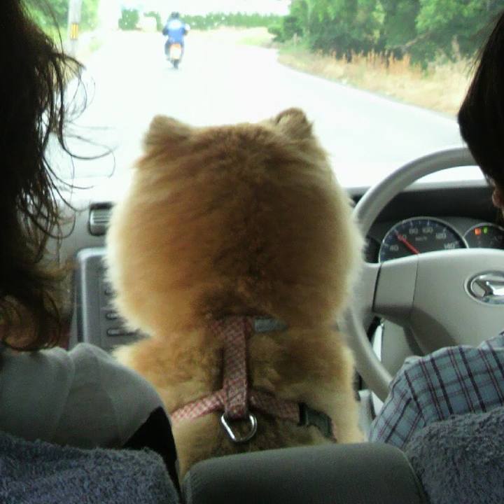 822a3688 88bf 41e8 b10e c3479c46903e