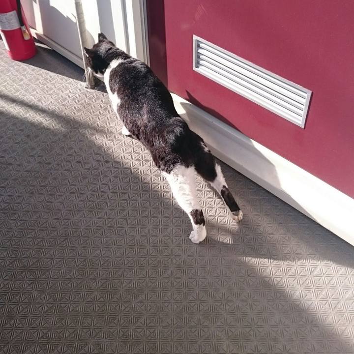 822a6a97 49c2 4248 9cbf 1f1d518e0020