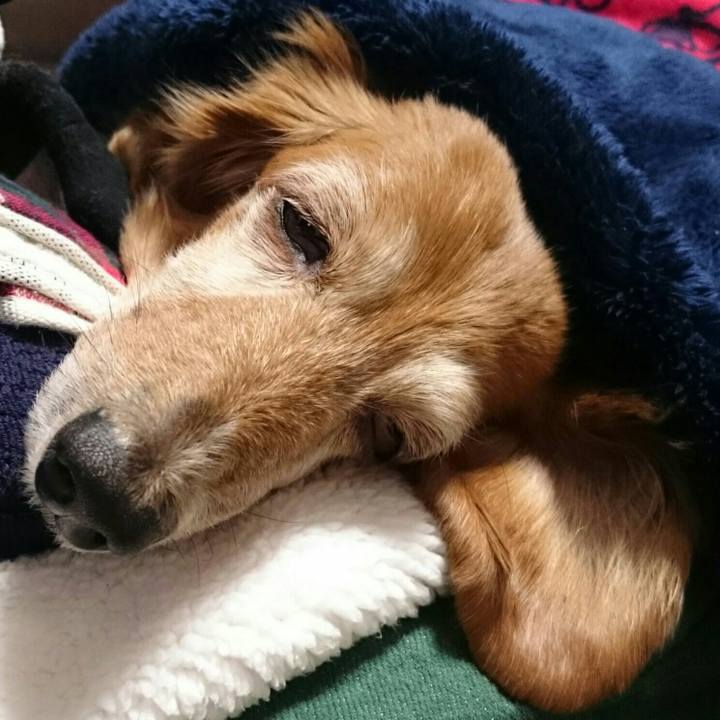 822b003f d75b 4318 8ad9 5b682aa7fd86