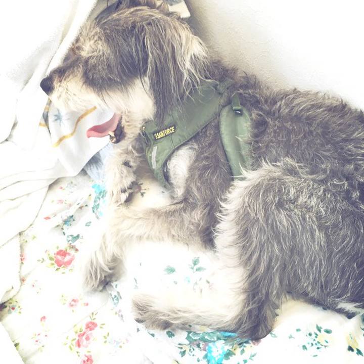 822b3bc6 f654 47d7 aee8 641a309482dd