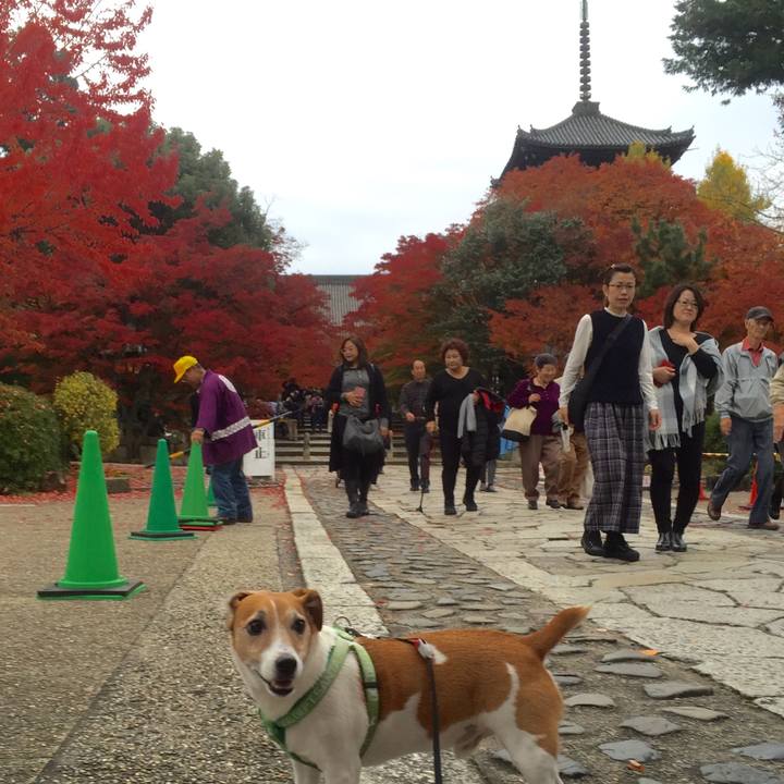 822b4297 111c 4656 a79c 351e3647f277