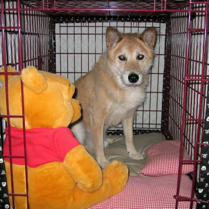 822c9d68 0ab1 4e46 8f5a 49e72ea69c29