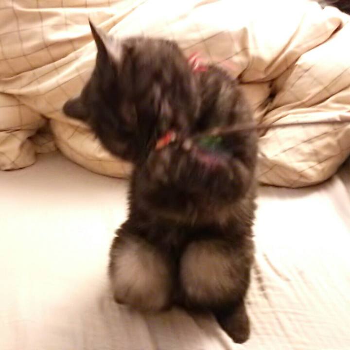 822d3c6d 6627 4464 b807 c1b809125cfd