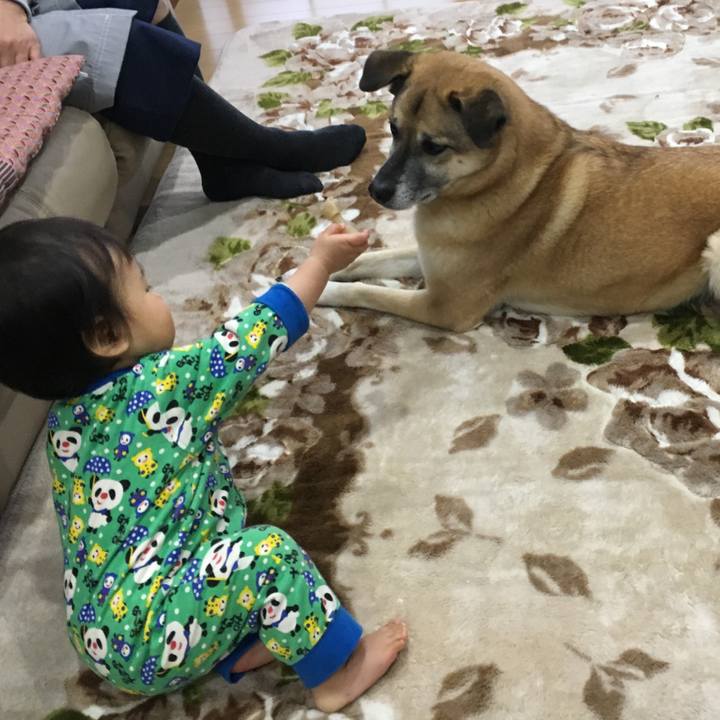 822d4eb6 7762 4e71 bf41 6ccab607526b