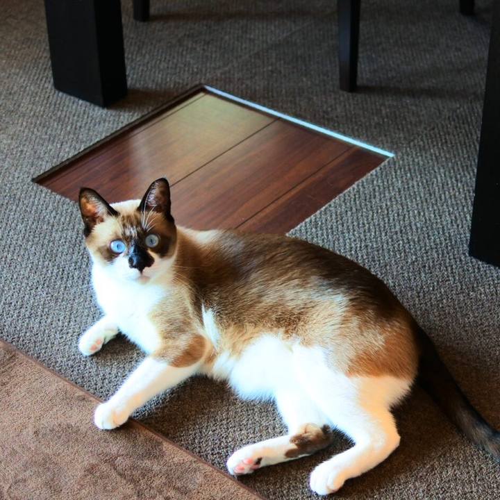 822d5b58 0da4 48e4 b415 1c0bb390ee86