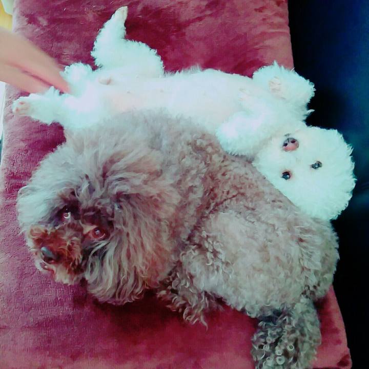 822d6e29 b0db 4e98 9f17 ab45c930986c