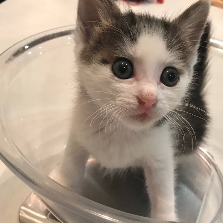 822d7212 e17e 40ec 9917 ce9599b025fd