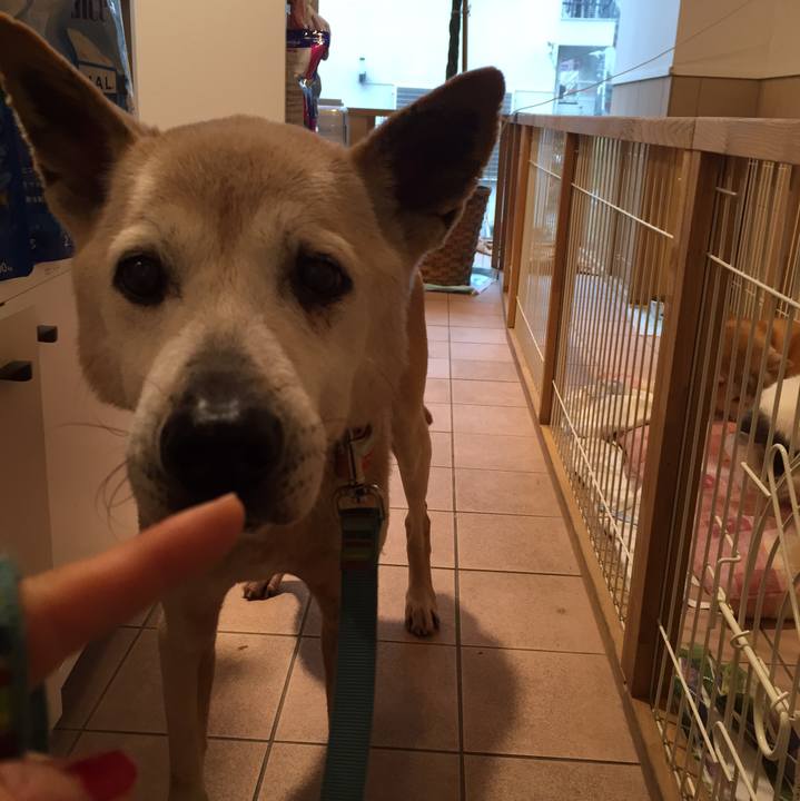 822e4a14 fe6d 4591 8a5b b24e349224bd