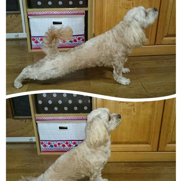 822e86af 41ec 4162 955a 0760c55d7b58