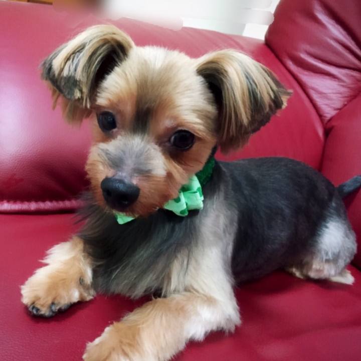 822f0480 913f 4779 b1fa d36d2fc10a7f