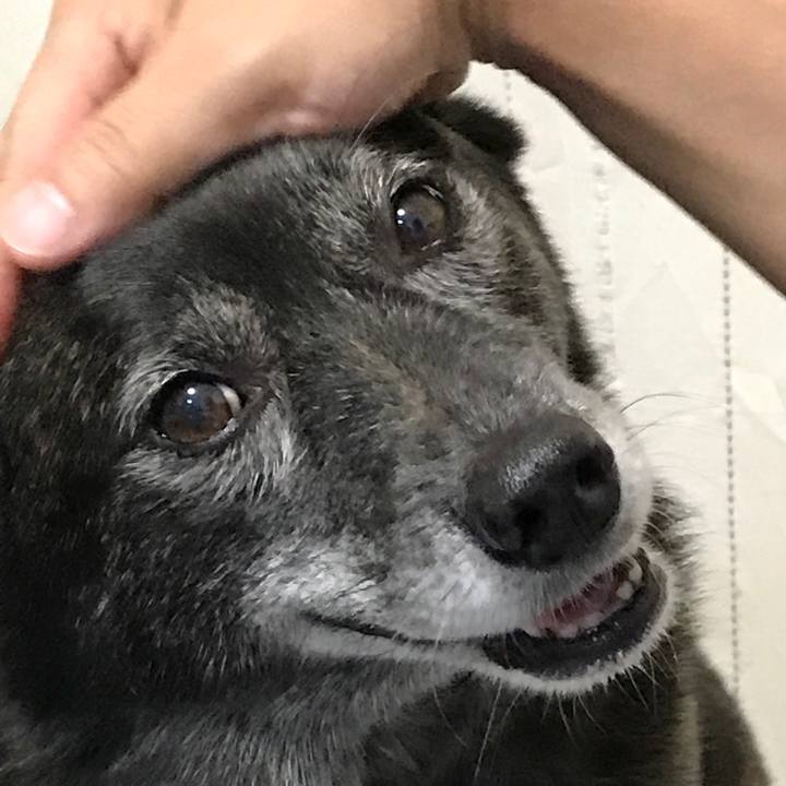 822f4bf3 69f4 4845 93bd 8c48afee2839