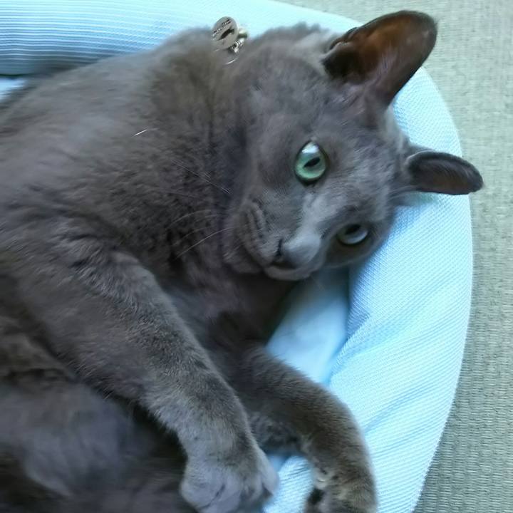 822f5c96 c34c 4d88 a5c7 40f0a24ea3c7