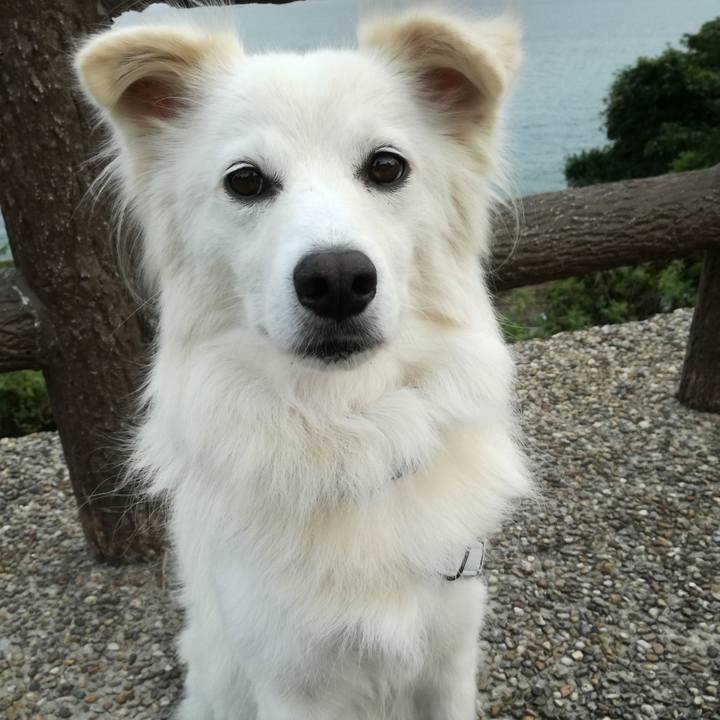 822fa01e c698 409a b21a fbcedbde55ae