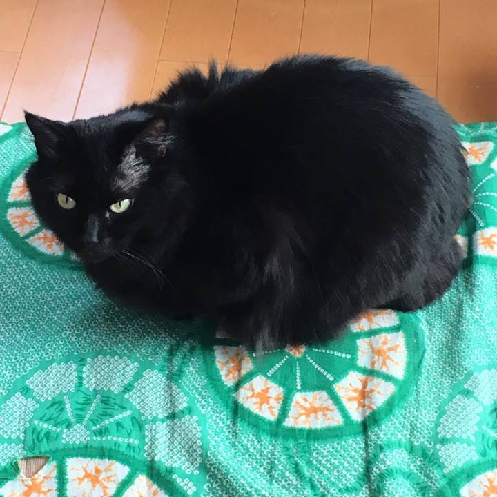 8230568e 6dde 4d21 8aac 88951a566de8