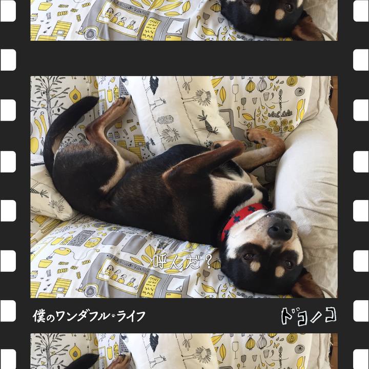 8230765a c7bb 4ad2 baa4 0762a67b3c2b