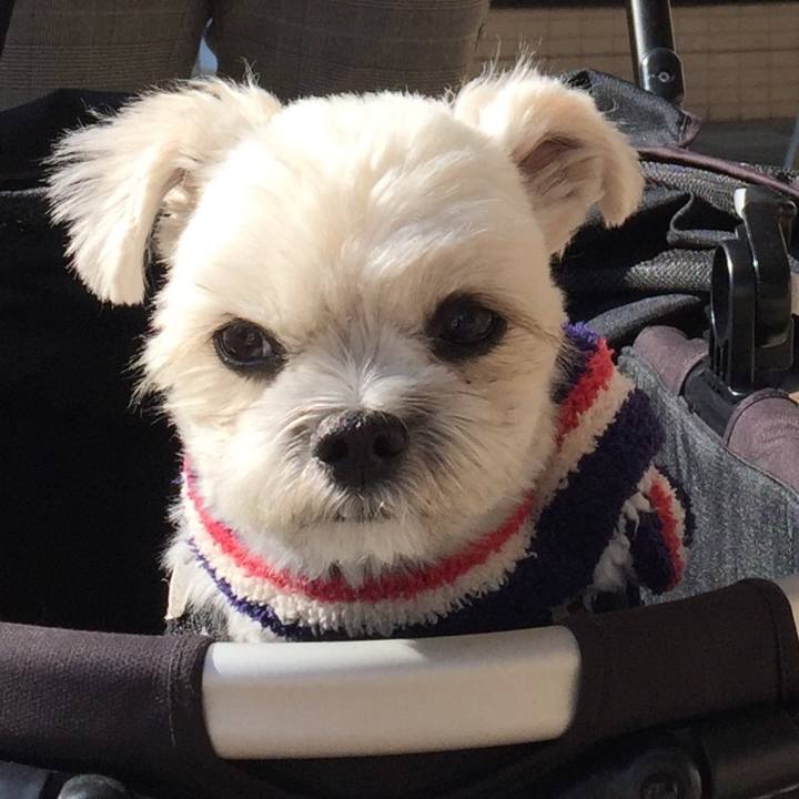 82308717 2cd6 4a25 b3e0 26f2a1df15e4