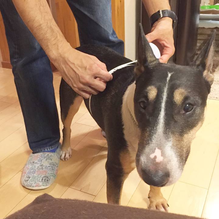 8230e863 151b 46d0 ac75 f0f96b940e6b