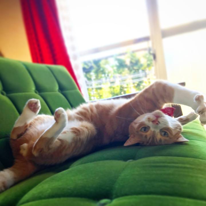 82313440 9cf7 4cba b981 93aec6aa5f52