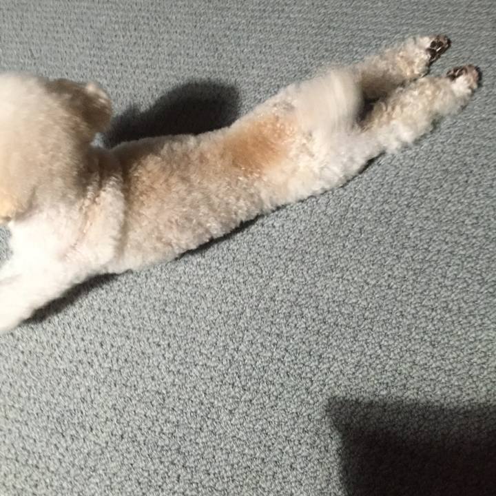 82313e94 d41c 47e7 bc5e 3be922648d7f