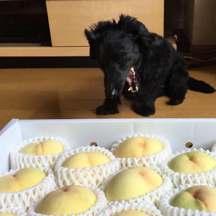 82324b6b 3398 4a9b 8cf0 d41cd3c5ce5d