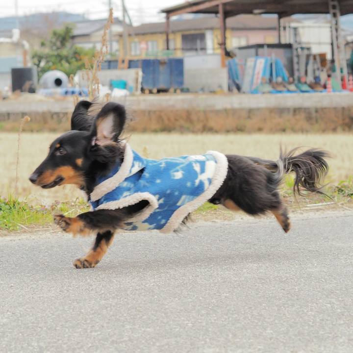 8233355d b2d8 4c9a 98e0 49469372c574