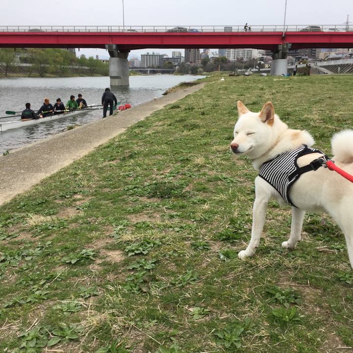 82338c5a 83c4 4182 ac6c 4c20abac3d9c