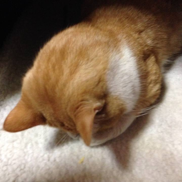 8233a3e4 55a7 4f79 9410 6fbb141326fc