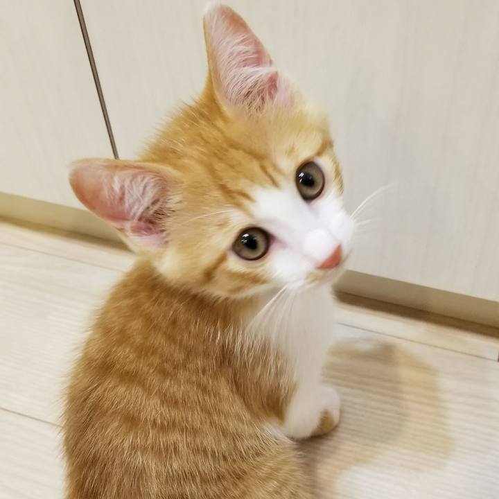 82343763 aab8 43f7 b90a e5fb48c80adb