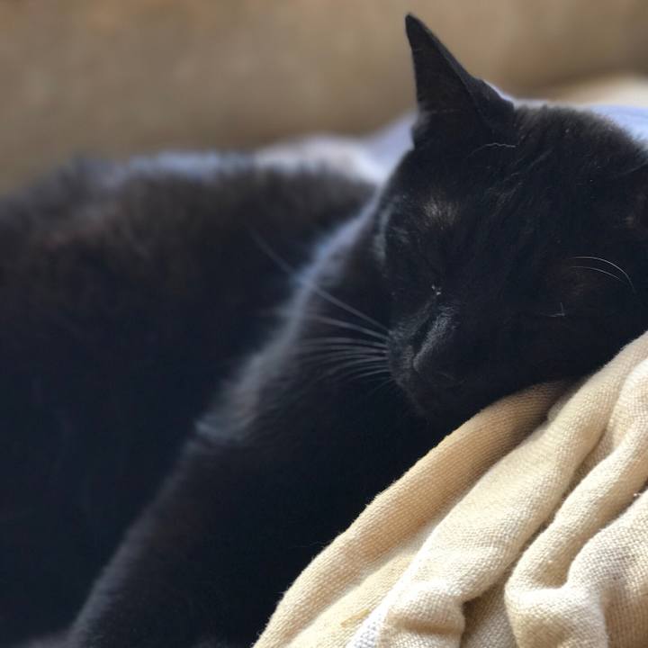 823473a1 4f4e 4170 abb7 f9c5aa1003b1