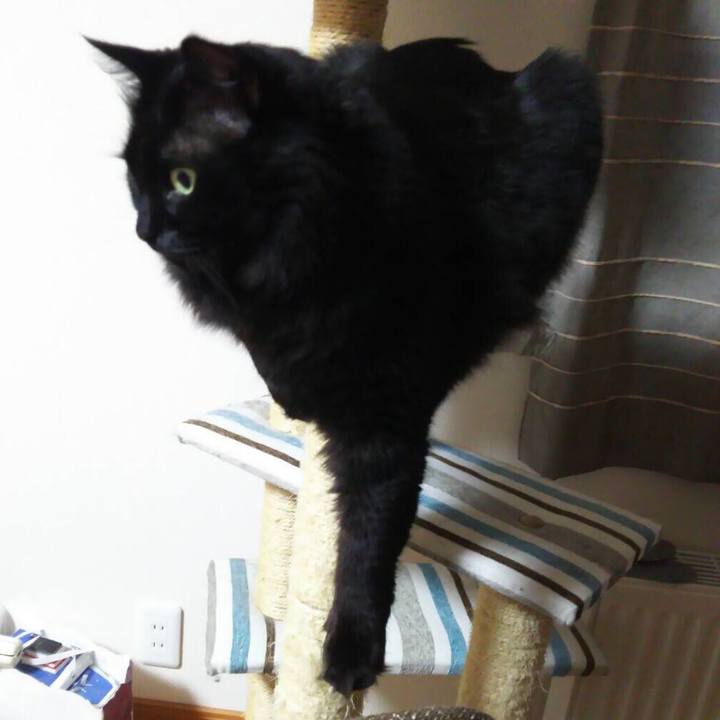 8234d9fb 4109 4e3c a7bd f946dd7d4960