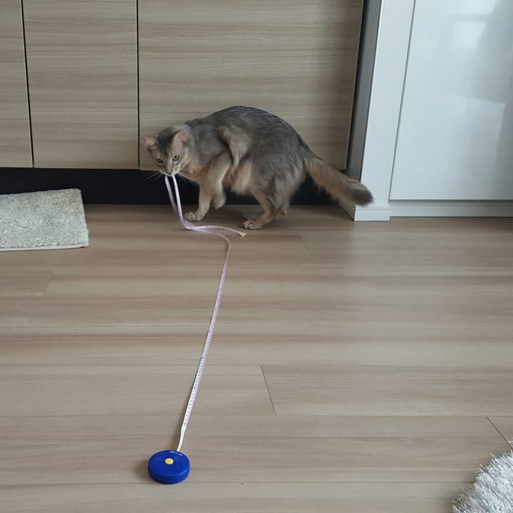 8234efa2 9648 4dd1 b49e 017fa8a1e87c