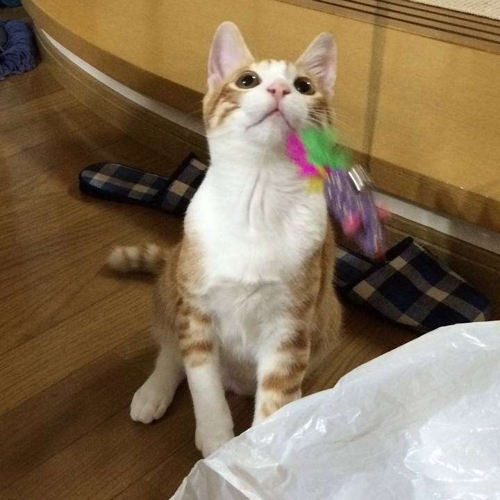 82353d41 394f 4cf4 9bb3 154001eca7ee