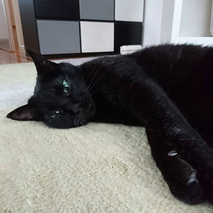 8235574e a621 492e 90f1 80621b59c964