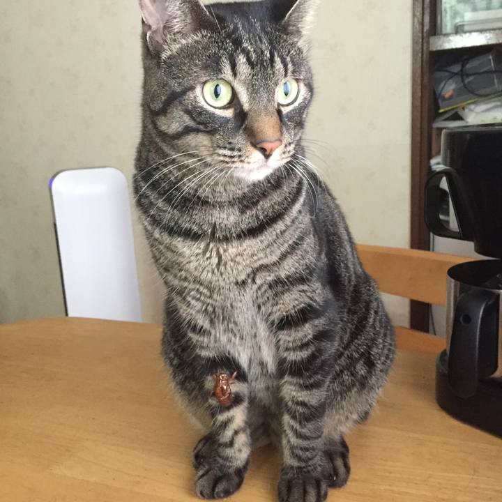 82358555 633c 4df1 aa2f f1bb010edaac