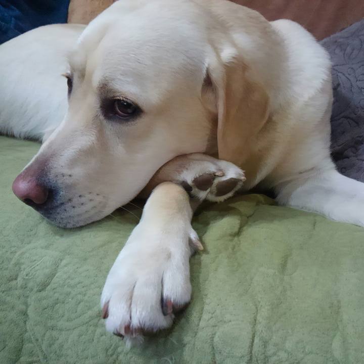 8235b0f9 c224 4e75 b553 63f3004c1c55