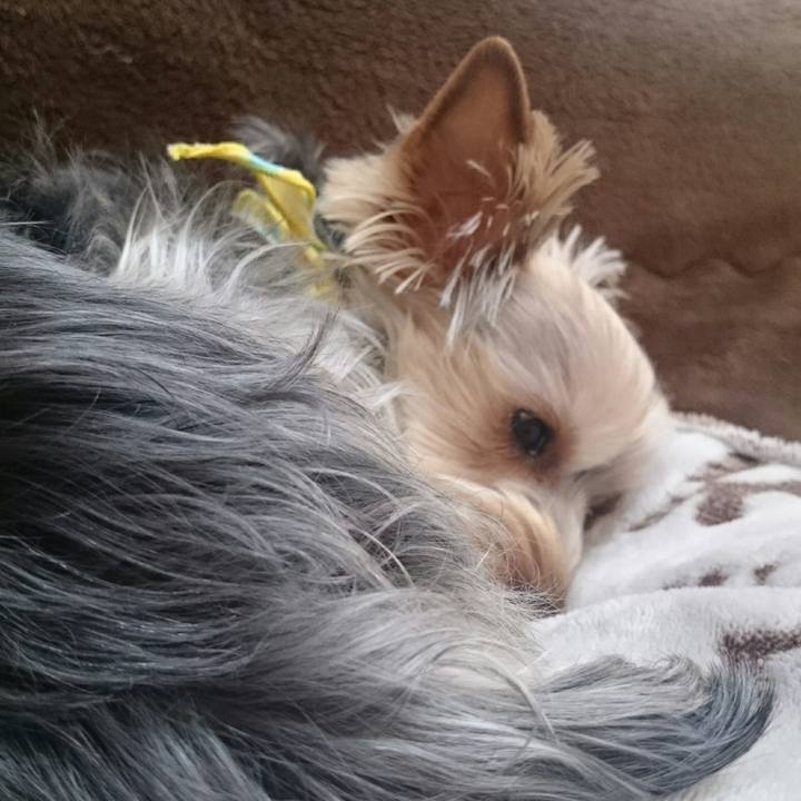 8237370b b28a 42e1 b163 f5365e5cdd14